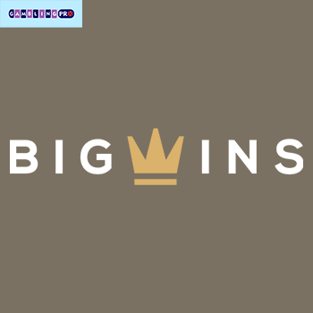 BigWins Gambling Enterprise: Gamer Rankings & Our Verdict